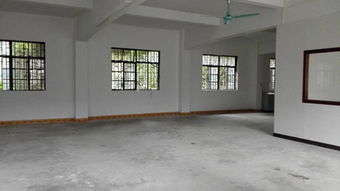 东莞市农村社区集体资产活化新探索 丁屋村原制衣二厂部分厂房房屋代租分析